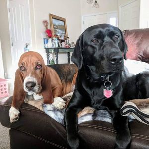 Meet your Posher, Brenda